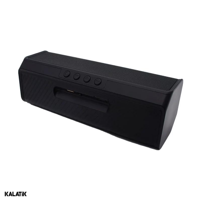 پنل اسپیکر قابل حمل لیتو مدل LK-54