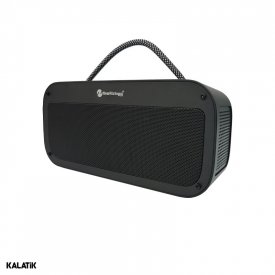 اسپیکر قابل حمل NewRixing مدل NS-2039-شارسل