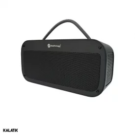 اسپیکر قابل حمل NewRixing مدل NS-2039-شارسل