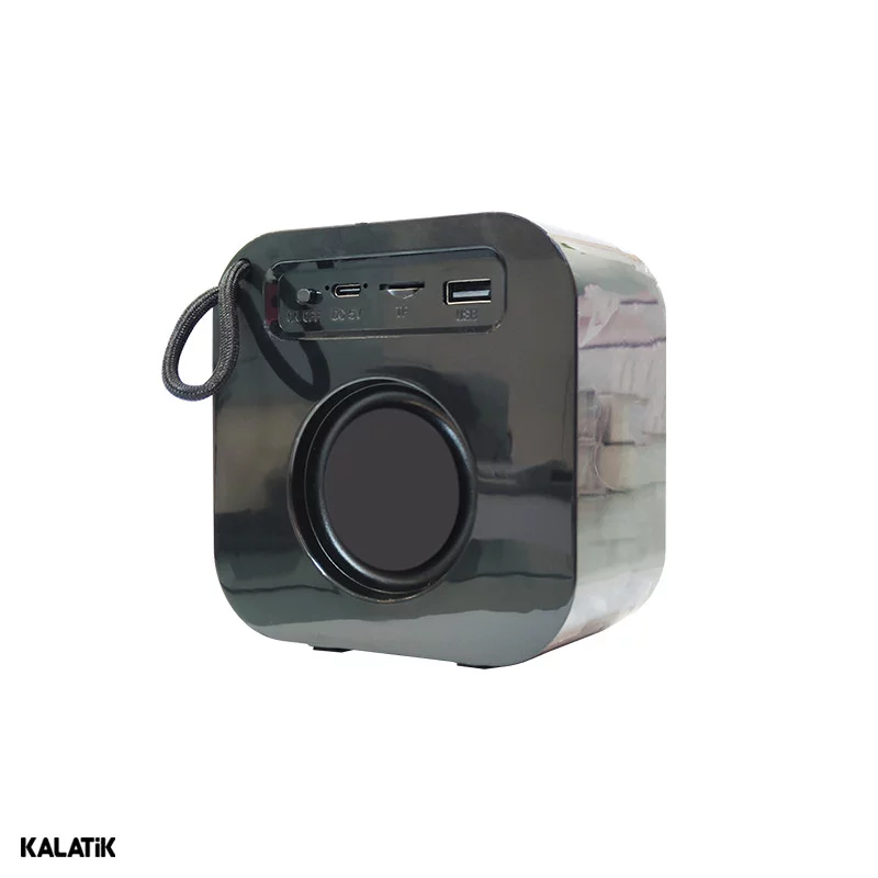 اسپیکر قابل حمل اولتراسور مدل U-S40