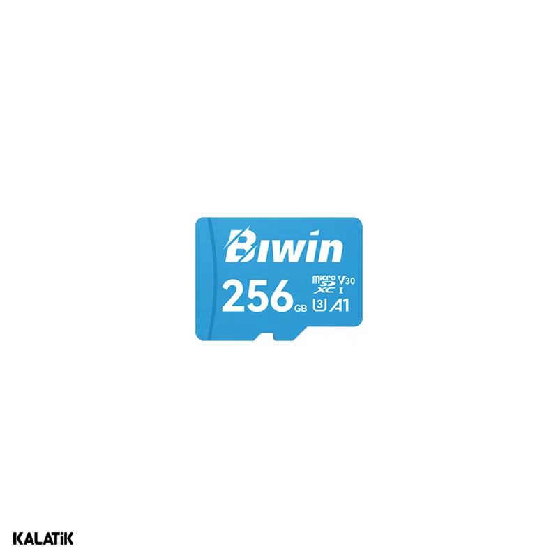 کارت حافظه MicroSDHC بیوین مدل MS100 کلاس 10 استاندارد UHS-I U1 با سرعت 100mb ظرفیت 256 گیگابایت